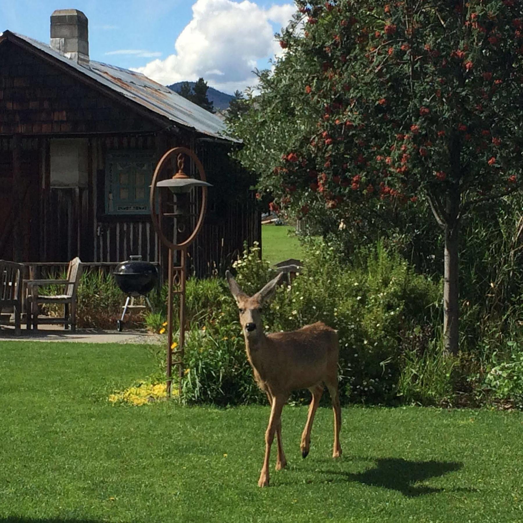 Mt Gardner Inn ウィンスロップ エクステリア 写真